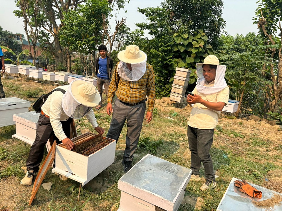 Environment conservation