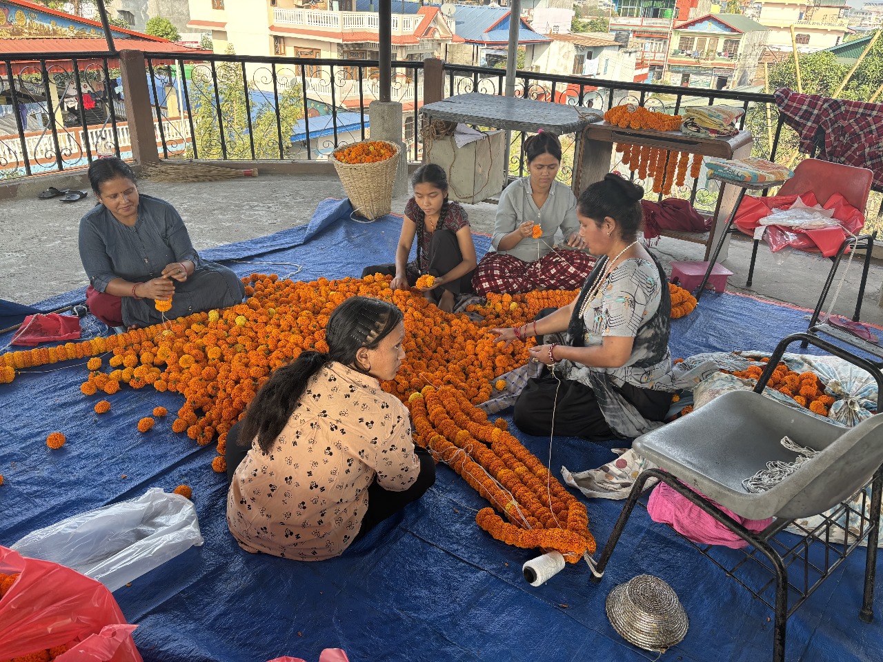 Agriculture and livelihoods